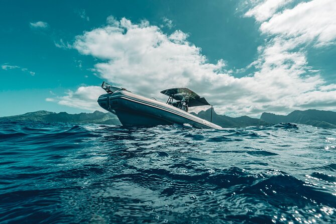 Half Day Private Whale Watching in Moorea - The 4-Hour Plan: Pickup, Time on the Water, Snorkel, Return