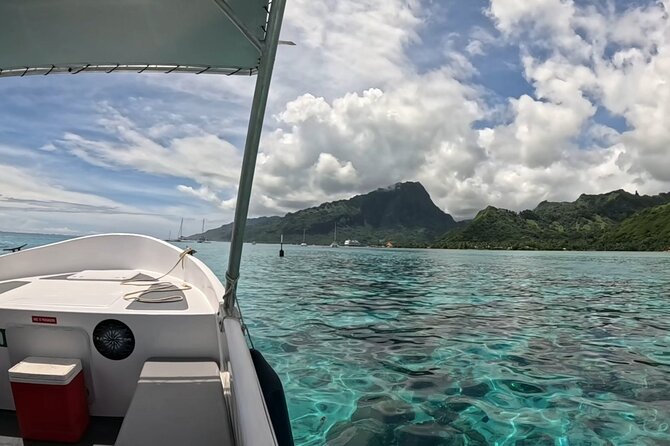 Half Day Private Whale Watching in Moorea - FAQ