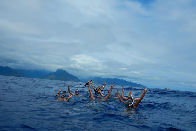 Half day whale tour 4h00 - Seasickness and rough water: bring the right mindset