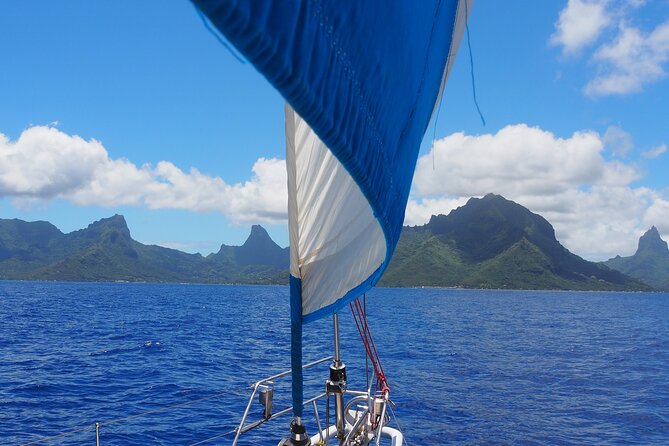 Half day whale watching - Without launch - Private by default: what up to 6 people changes