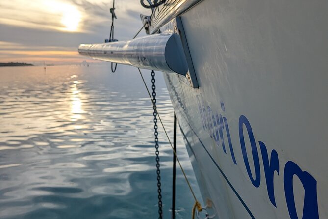 Half day whale watching - Without launch - Whale spotting: what you can realistically watch for