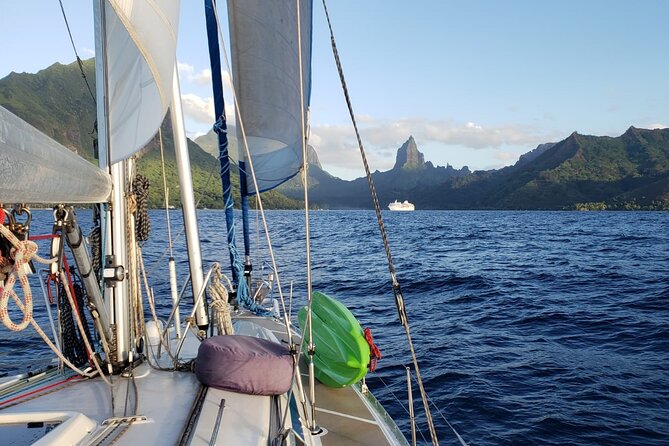Half day whale watching - Without launch - Price and value: $558.73 per group up to 6