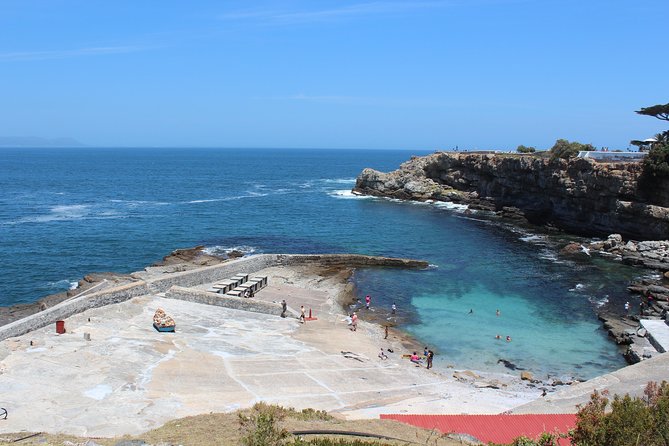 Hermanus and Whale Route Trike Tour from Cape Town - Rooi Els coffee stop: small pause, good momentum