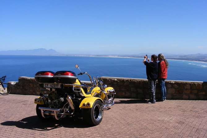 Hermanus and Whale Route Trike Tour from Cape Town - How the trike-and-guide setup changes the day