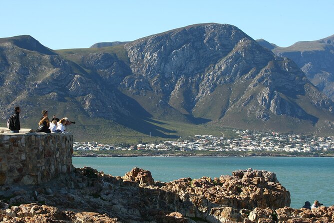Hermanus Land based Whale Tour with Dave de Beer - Why Hermanus Land Whale Watching Works From the Cliffs