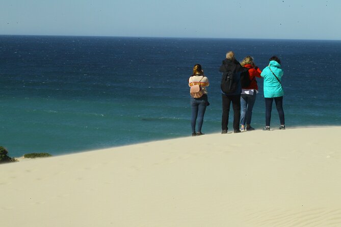 Hermanus Land based Whale Tour with Dave de Beer - Southern Right Whales: What You’ll Understand Before You Look
