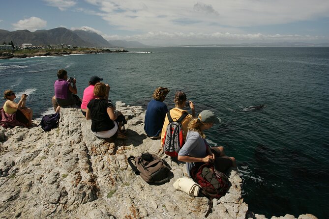 Hermanus Land based Whale Tour with Dave de Beer - The Hermanus Cliff Path Walk: Where the Best Views Happen