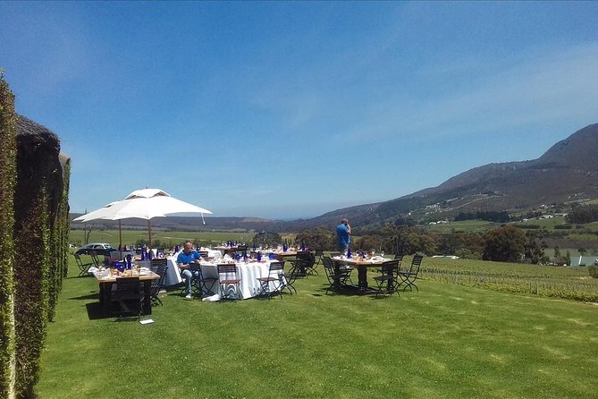 Hermanus Whale Coast Wine Tour (Cape To Grape Wine Tours) - Key Highlights You’ll Actually Feel During the Day