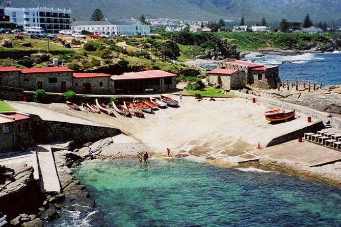 Hermanus Whale Coast Wine Tour (Cape To Grape Wine Tours) - Wine Country Without the Driver: The Real Appeal