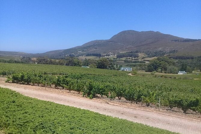 Hermanus Whale Coast Wine Tour (Cape To Grape Wine Tours) - Creation: Chocolate and Wine Tasting for a Fun Break