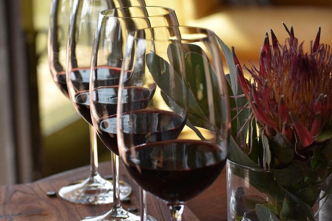 Hermanus Whale Watching and Wine Tasting - Should you book this Hermanus whale watching and wine tasting day?