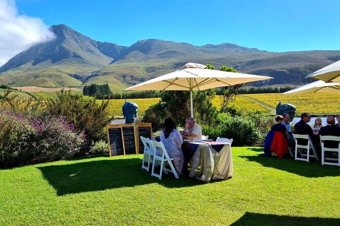 Hermanus Whale Watching and Wine Tasting Private Tour - Private tour logistics: why pickup at the Silo Hotel matters