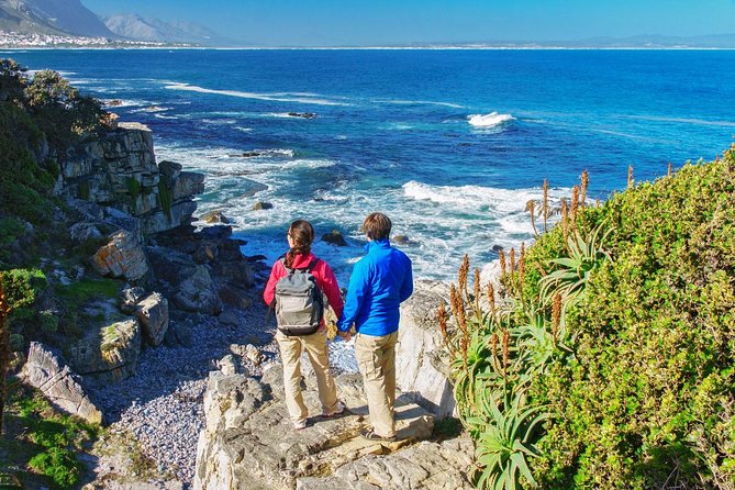 Hermanus Whale Watching Day Trip from Cape Town - Whale Watching From Shore in Hermanus: What Makes It Special
