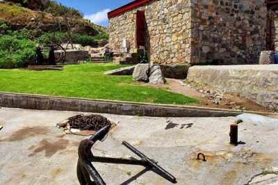 Hermanus Whale Watching Day Trip from Cape Town - Bouchard Finlayson Winery Stop: A Real Break, Not Just a Photo Stop