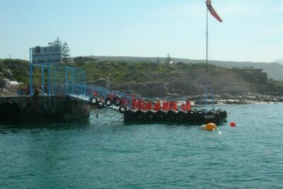 Hermanus Whale Watching & Penguins Shared Tour from Cape Town - The boat cruise off Hermanus: where the magic happens