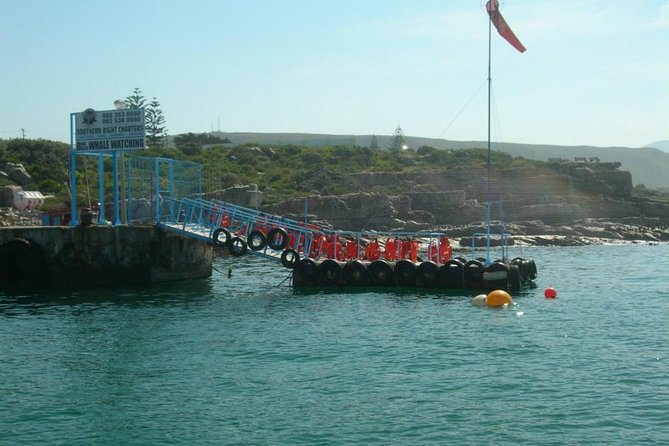 Hermanus Whale Watching & Penguins Shared Tour from Cape Town - The boat cruise off Hermanus: where the magic happens