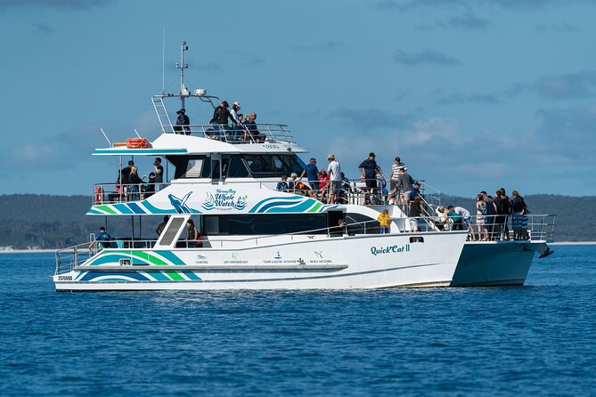 Hervey Bay: Best Value Half Day Whale Watching Cruise - Key highlights at a glance