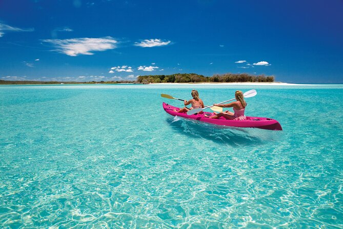 Hervey Bay: Best Value Half Day Whale Watching Cruise - Family-Friendly by Design, With Real Adult Supervision Rules