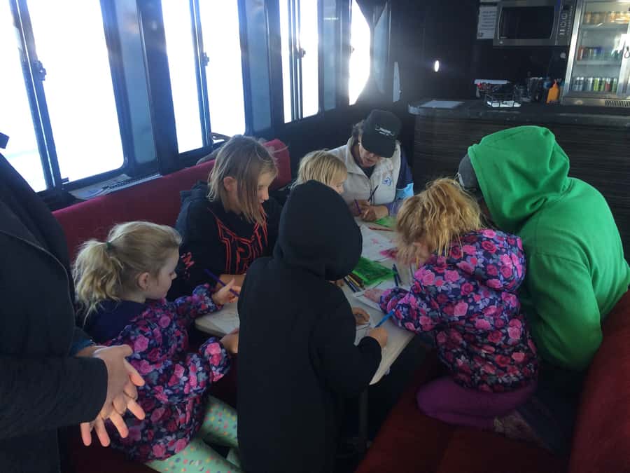 Hervey Bay: Half-Day Whale Watching Cruise with Meal - Meals on board: lunch or dinner plus the kind of comfort that matters