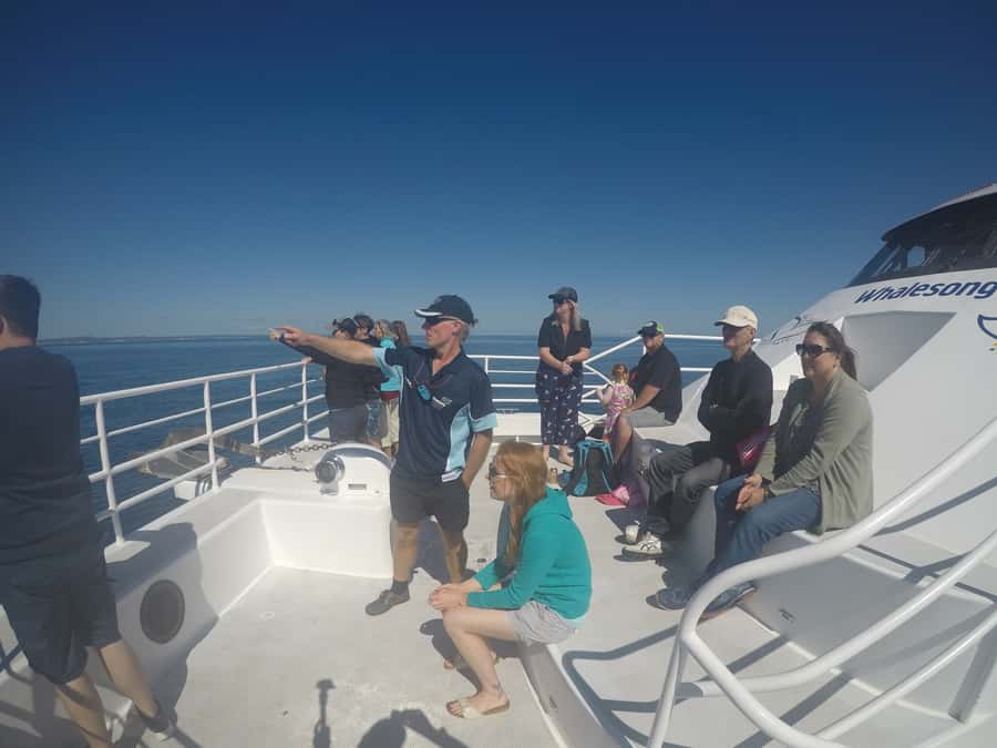 Hervey Bay: Half-Day Whale Watching Cruise with Meal - Price and value: is $113 a fair deal?