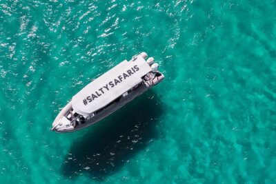 Hervey Bay: Half Day Whale watching & Island Stop Tour - Platypus Bay: where the humpbacks’ time matters