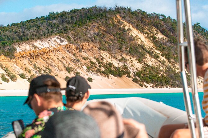 Hervey Bay: Half Day Whale watching & Island Stop Tour - Swim with the whales (conditions apply): the thrilling extra, minus the guarantees