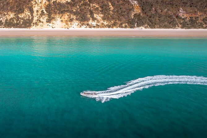 Hervey Bay: Half Day Whale watching & Island Stop Tour - Who this tour suits (and who might want a different plan)