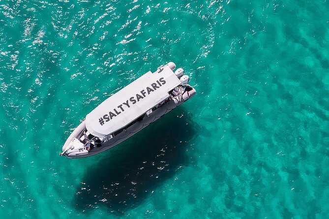 Hervey Bay: Half Day Whale watching & Island Stop Tour - Platypus Bay: where the humpbacks’ time matters