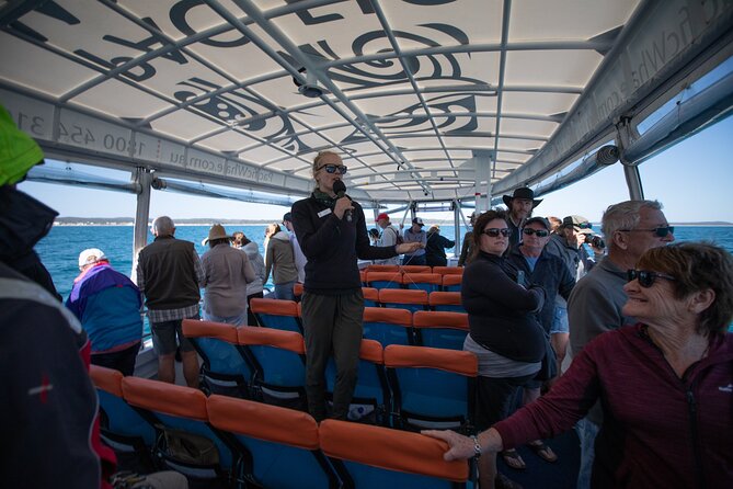 Hervey Bay Ultimate Whale Watching Cruise - Booking timing: when to reserve so you don’t stress