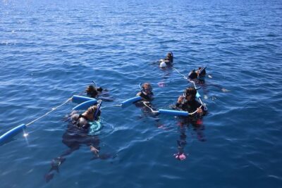Hervey Bay Whale Swim and Watch - Check-in, marina start, and getting set up fast