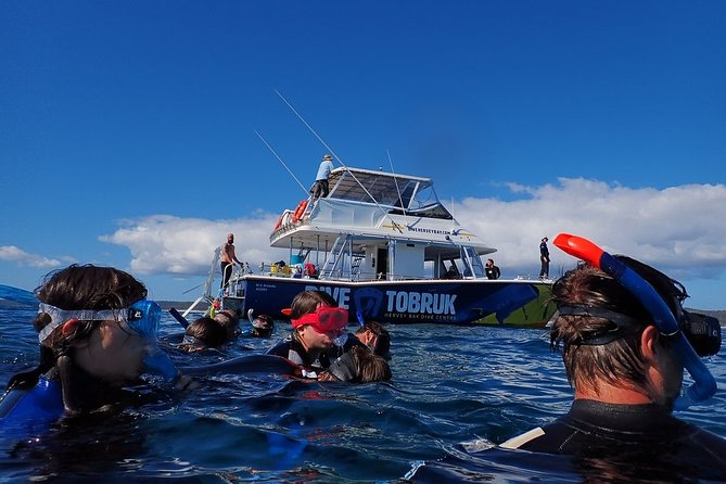 Hervey Bay Whale Swim and Watch - The swim and snorkeling part: wetsuits, buoyancy, and the mermaid line