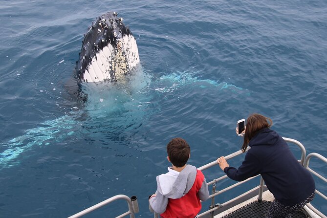 Hervey Bay Whale Watching Cruise - Tea, snacks, and the comfort details that actually help