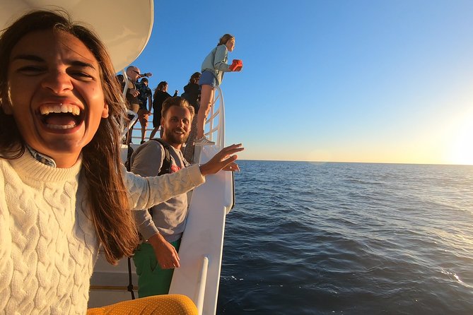 Hervey Bay Whale Watching Experience - The Whale Watching Part: Behaviors to Look For (and How to Spot Them)