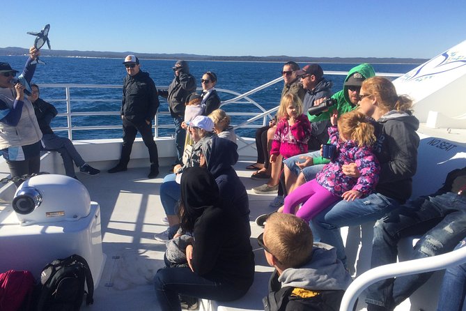 Hervey Bay Whale Watching Experience - Food on the Water: Tea, Buffet Meals, and What It Means for Your Day
