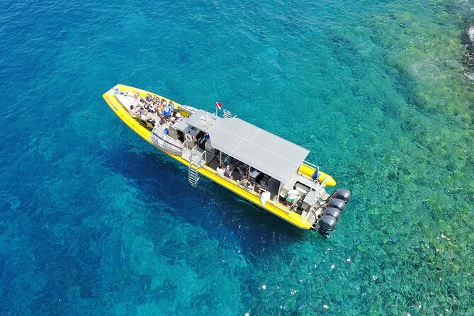 HIGH QUALITY Whale Watch Adventure Aboard Luxury Super Raft - Price and Value: Is $95 Actually Fair?