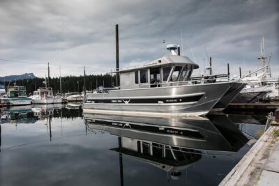 Hoonah Whale Tours in Icy Strait - Wildlife you can expect: humpbacks plus the supporting cast