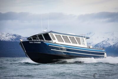 Hoonah Whale-Watching Cruise - Near Icy Strait Point - Three hours on the water: how whale sightings unfold near Hoonah