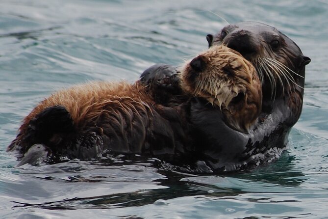 Hoonah Whale-Watching Cruise - Near Icy Strait Point - Getting dry and warm: weather planning for a cold, windy coast