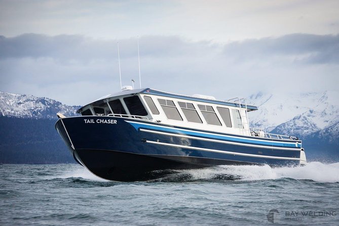 Hoonah Whale-Watching Cruise - Near Icy Strait Point - Three hours on the water: how whale sightings unfold near Hoonah