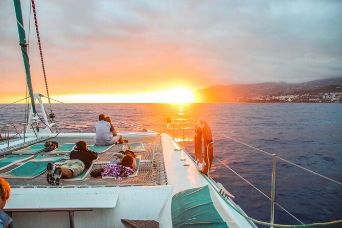 Hop-on Hop-off Bus Tour and Catamaran Whale & Dolphin Watching - Key things to know before you go