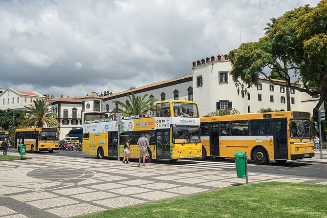 Hop-on Hop-off Bus Tour and Catamaran Whale & Dolphin Watching - Who this tour is best for