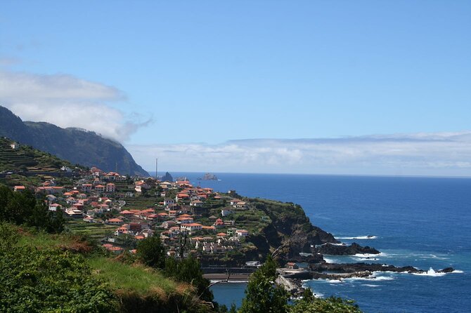 Hop-on Hop-off Bus Tour and Catamaran Whale & Dolphin Watching - Should you book this hop-on bus and whale cruise?