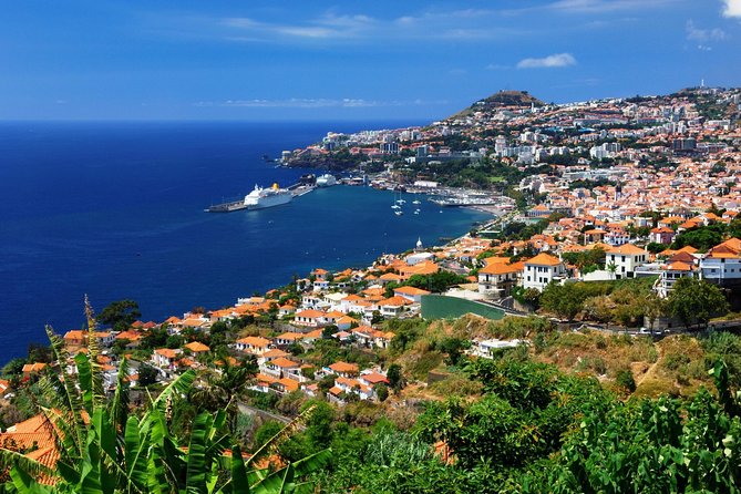 Hop-on Hop-off Bus Tour and Catamaran Whale & Dolphin Watching - Your Funchal plan: where each stop makes sense