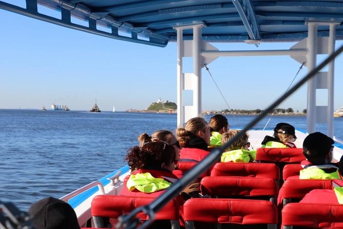 Humpback Whale Encounter Tour from Newcastle - The Hunter Coast and Lake Macquarie views from the water