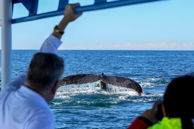 Humpback Whale Encounter Tour from Newcastle - Who should book this tour and what to pack
