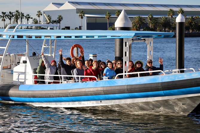 Humpback Whale Encounter Tour from Newcastle - Should you book the Humpback Whale Encounter Tour from Newcastle?