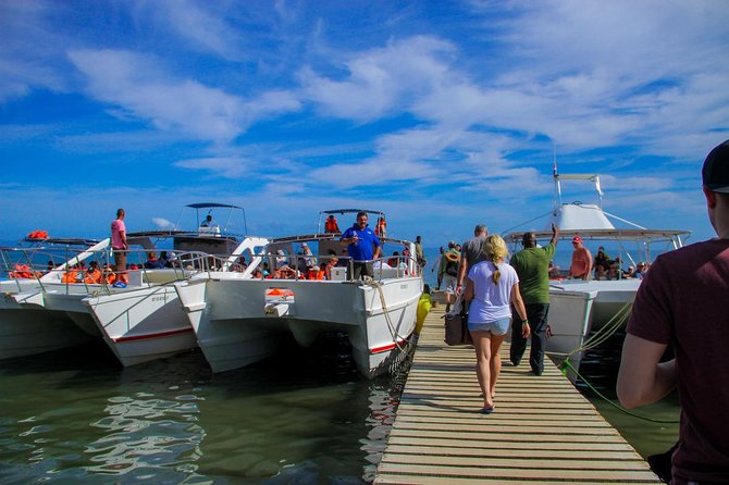 Humpback whales Watching + Samana Eco-Tour - Whale Sighting Odds and Sea-Sickness Reality