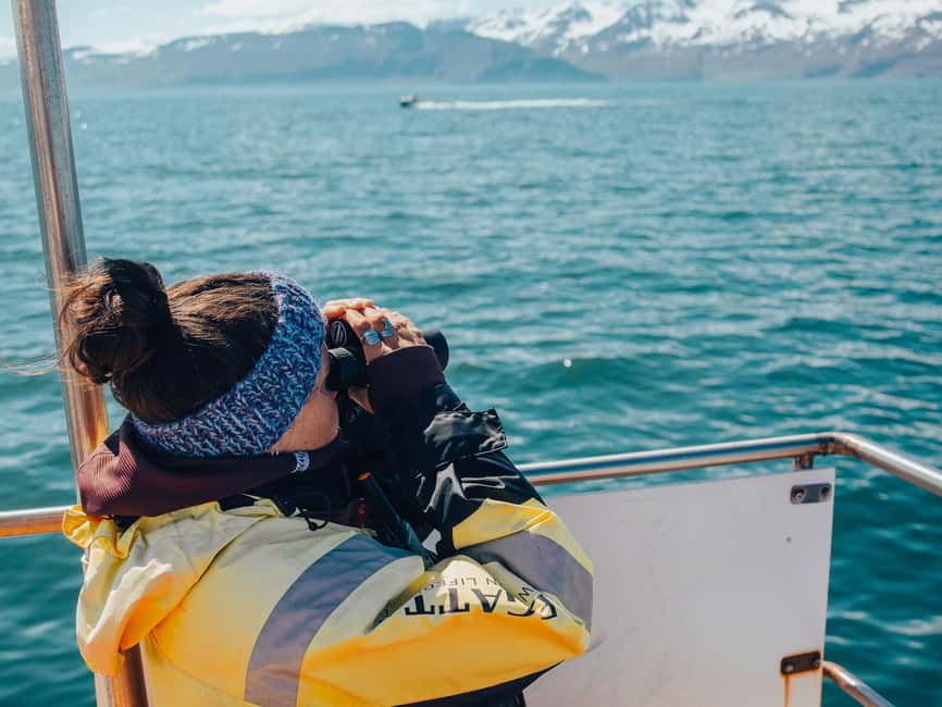Húsavík: Family-Run and Guided Whale Watching Tour - FAQ