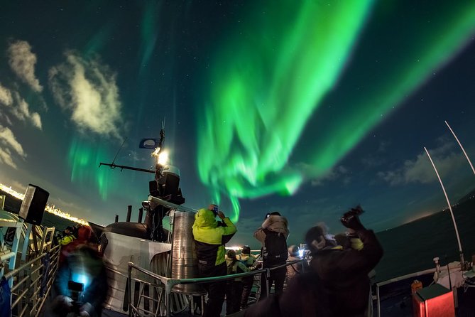 Iceland Super Saver: Northern Lights Cruise plus Whale-Watching Tour from Reykjavik - Food, drinks, and what to bring for a smoother day