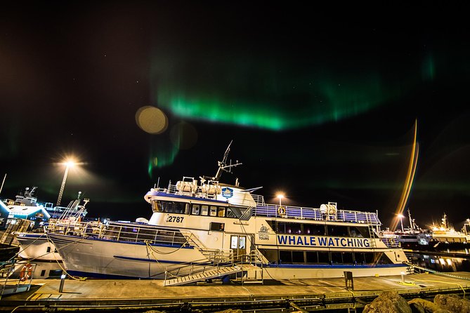 Iceland Super Saver: Northern Lights Cruise plus Whale-Watching Tour from Reykjavik - When nature cancels your plan: how to think about risk